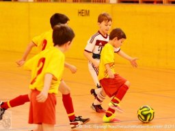 mini-Schlins-U9-Spiegl-DSC_1317